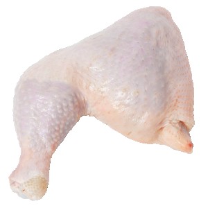 Chicken Leg